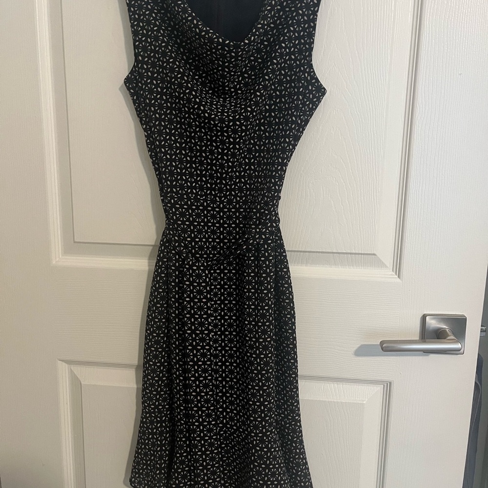 The Limited Navy and Cream Dress